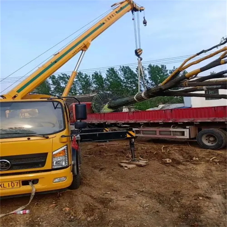 云梦100吨吊车租赁费用怎么算？3大关键因素+省钱技巧全解析